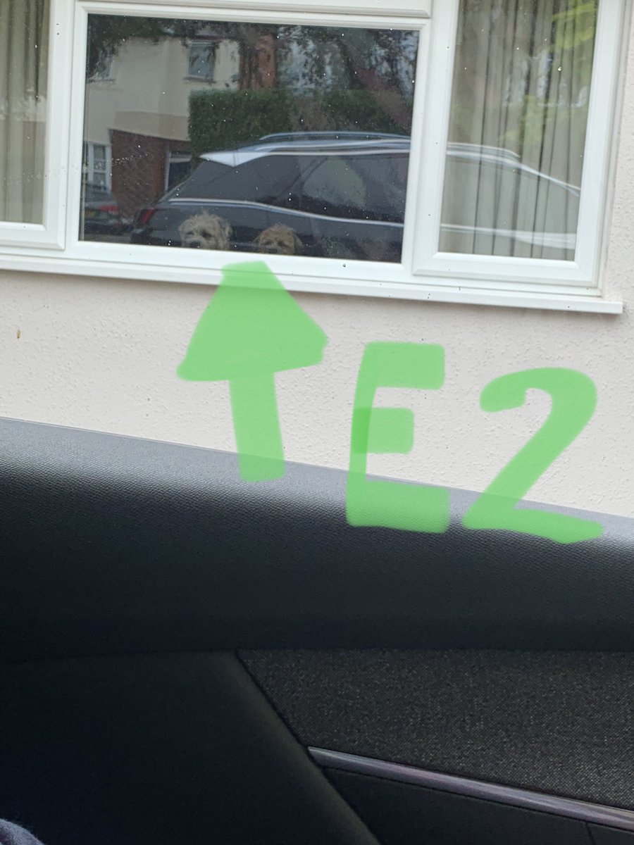 GeorgeJanice1's tweet photo. Did dey take uz owt fur Nannies Burfday Noms?? 🎉🎂Gavvering impawtant evidence an it iz not lookin gud fur dem! Dis can not wait fur Wednesday! #Exhibit1 #Exhibit2 #Exhibit3 #noexcuse #justice #BTPosse #HomeAlone 🐶🐶🐾🐾 https://t.co/bwxO0HNl0A