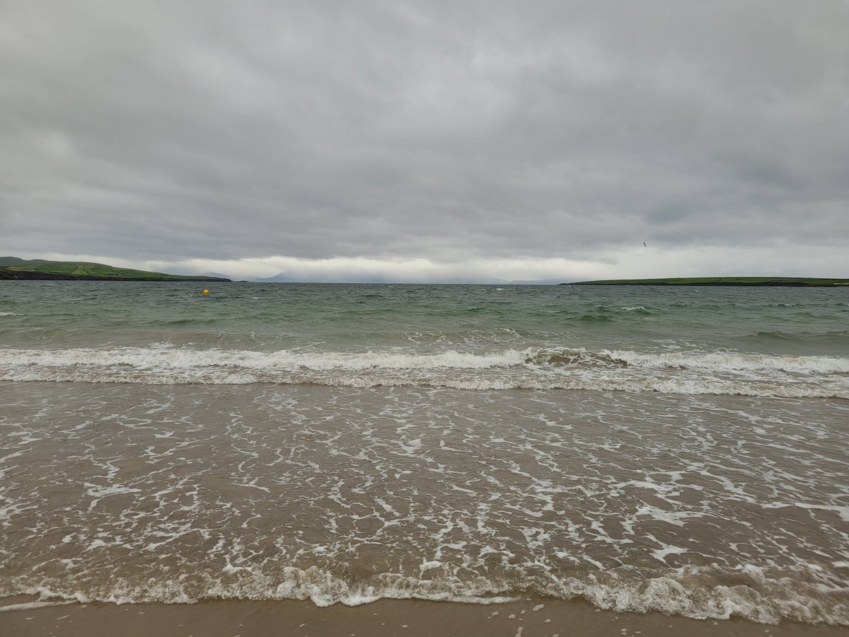 Nuala Moore-Swimmer tweet media