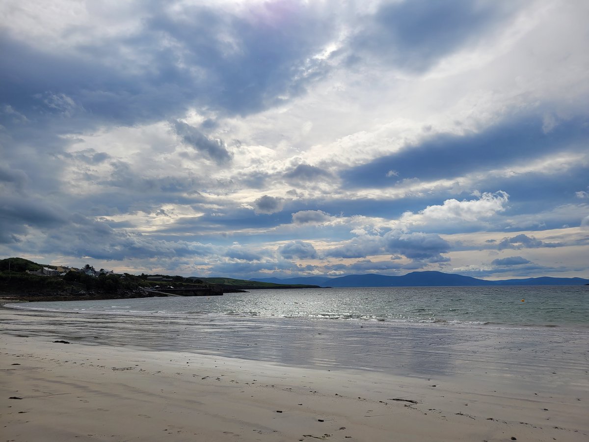 Nuala Moore-Swimmer tweet media