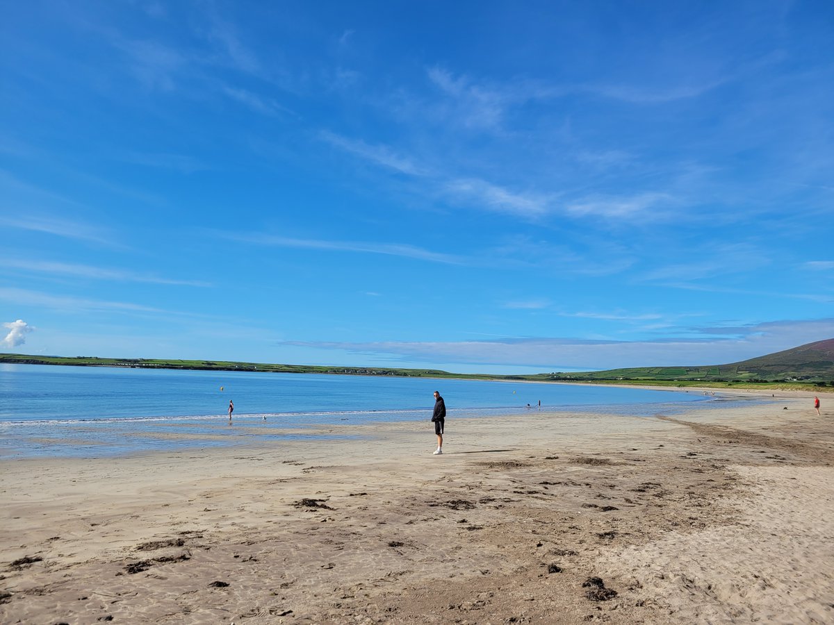 Nuala Moore-Swimmer tweet media