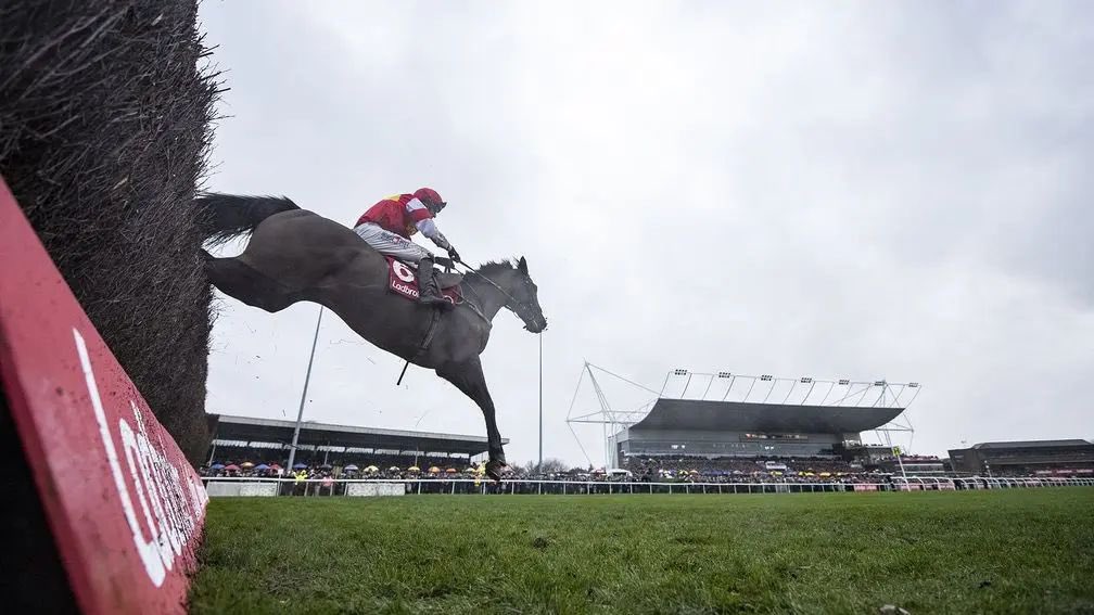 Manonclapham1's tweet photo. Slate House has been retired. Niggling injuries and he owes us nothing. 7 wins under rules, 3 at Cheltenham and 3 at Kempton, including the Grade 1 Kauto Star Novices Chase in 2019. Thanks to all @TizzardRacing. And to fellow owners John Romans and Eric Jones. https://t.co/nAATtUp4LQ