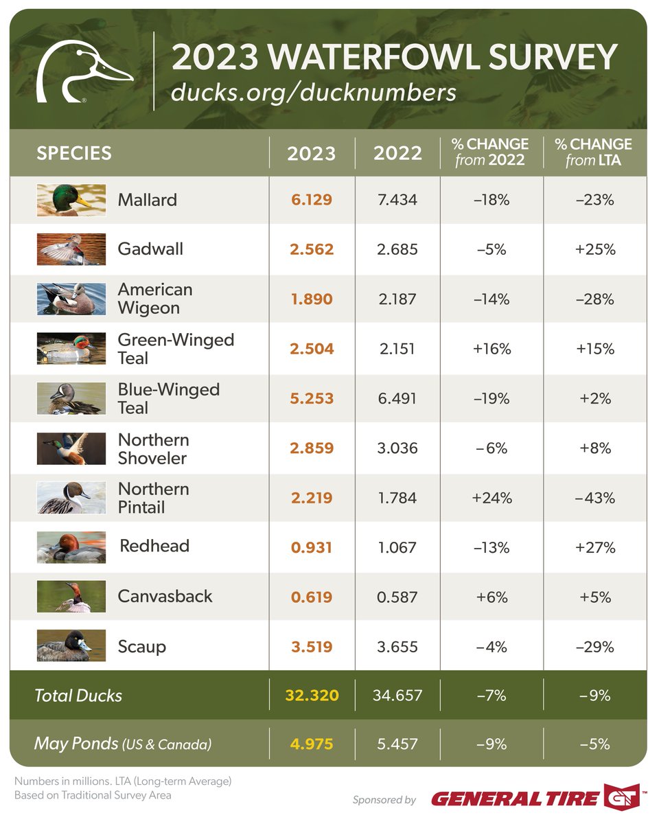 BREAKING: 2023 Waterfowl Population Survey Results Duck numbers were estimated at 32.3 million, down 7% from 2022. Read the full report at ducks.org/ducknumbers. Brought to you by @GeneralTire #DucksUnlimitedGT