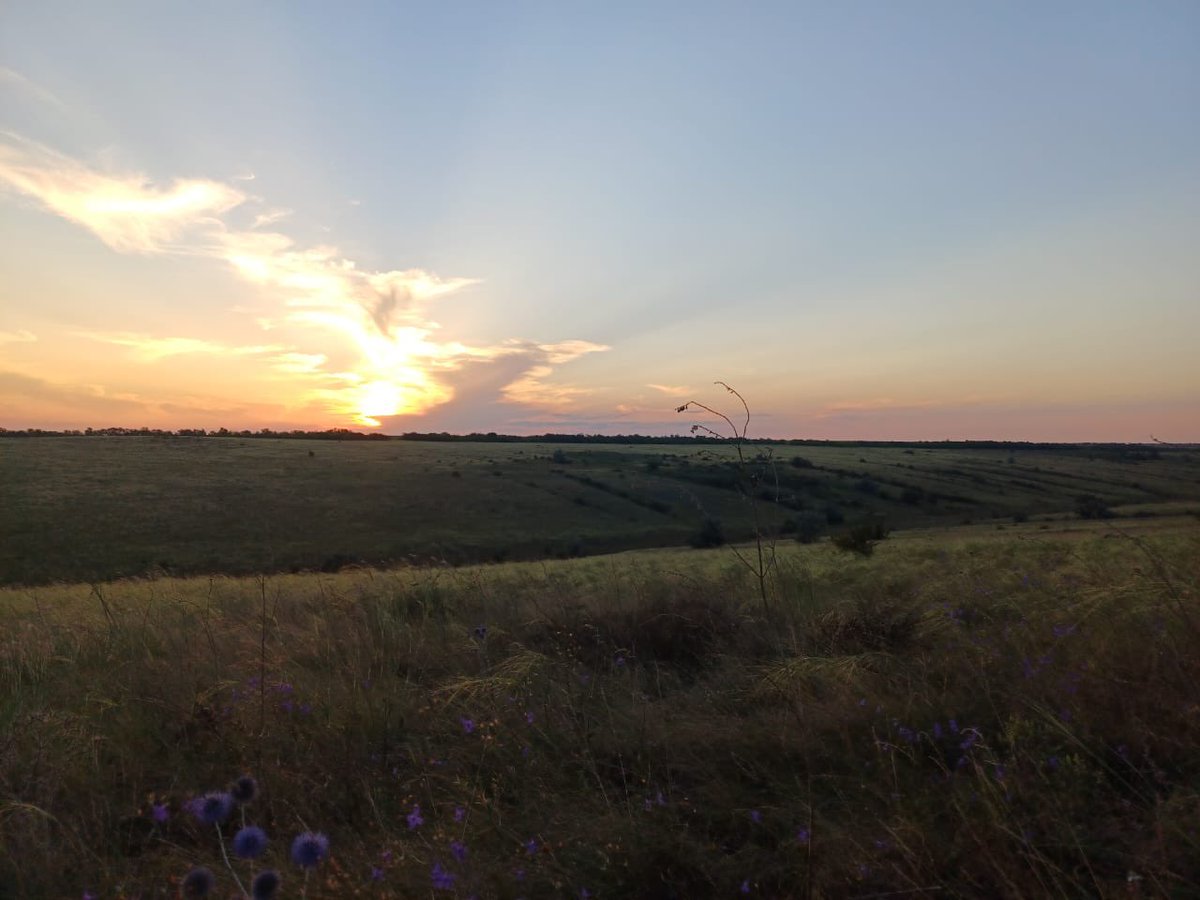 ProjectEmysR's tweet photo. 🇺🇦 Meanwhile our #postdoc Dr Oleksii Marushchak is monitoring #herpeto #biodiversity in the #steppes of #Mykolaiv region, #Ukraine #ForNature 
*from I.I. #Schmalhausen Institute of Zoology - National Academy of Sciences of Ukraine - and @IPHC_Strasbourg 🇫🇷🇪🇺🇺🇦🍀 https://t.co/LBgWGt9g7u