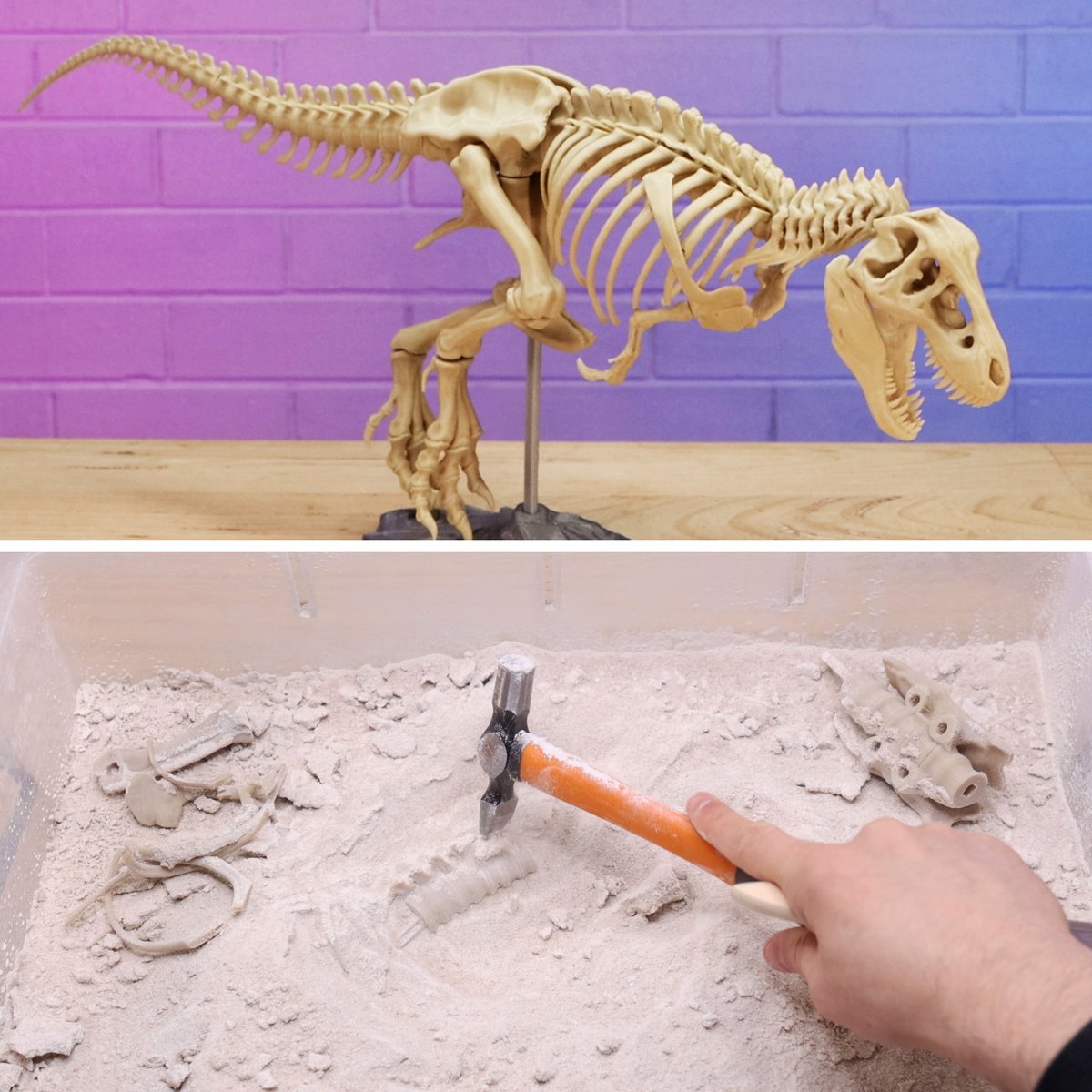 Next video I 3D print a Tyrannosaurus skeleton, fossilize him in plaster and sand... then dig him up again!

Turn on channel notifications so you don't miss out 🔔🔔 youtube.com/kickass3dprints
#3dprinting