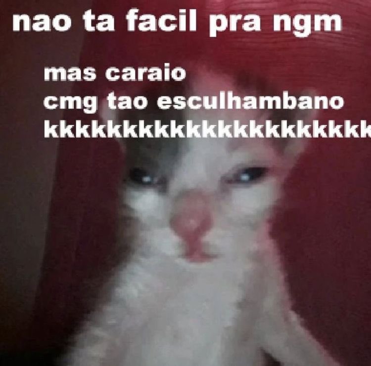 thateuss's tweet photo. vivendo só de derrotas https://t.co/9gJak0gDeH
