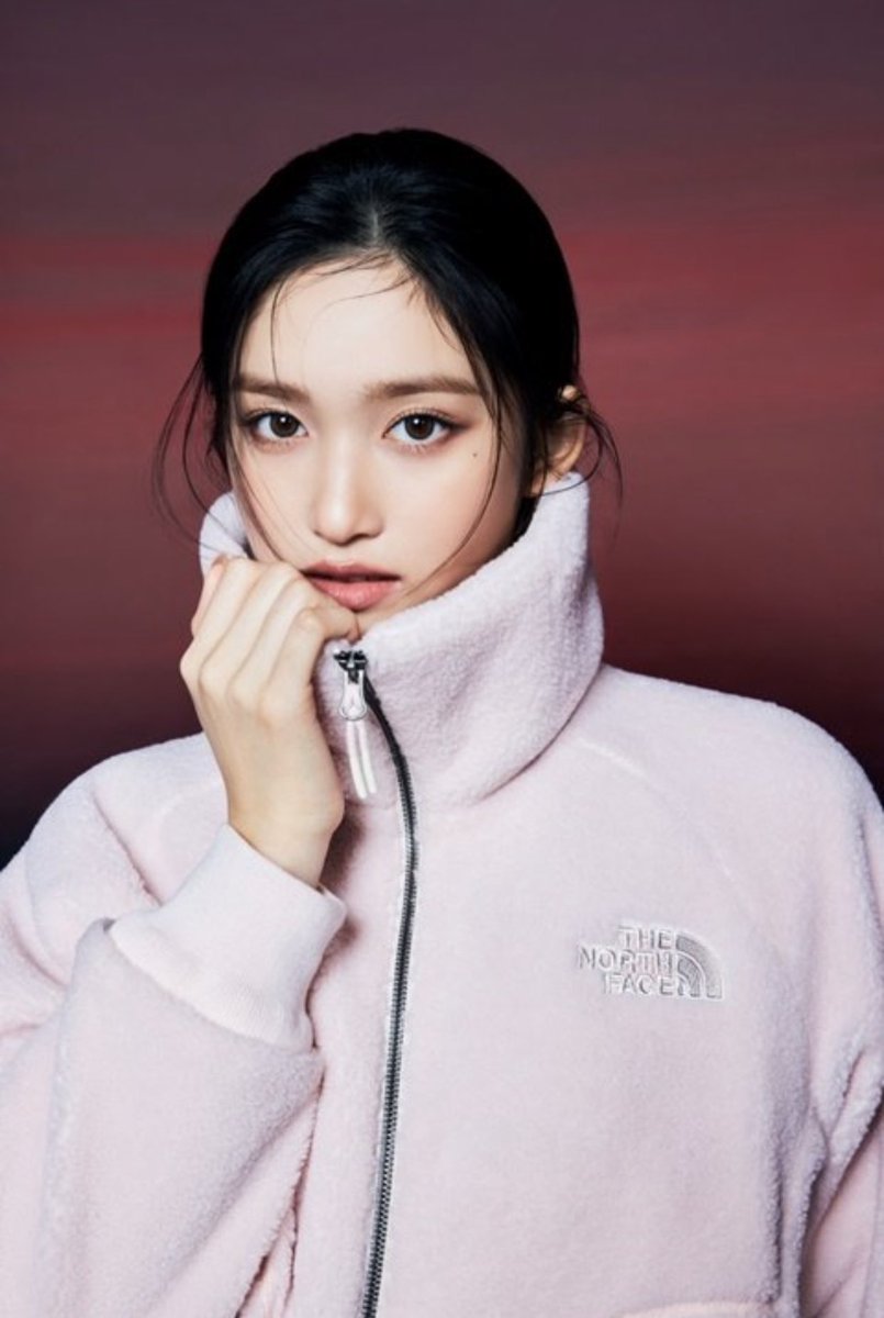 LEESEO_USA's tweet photo. #LEESEOxTheNorthFace  #leeseo https://t.co/mFooiA3HZ4