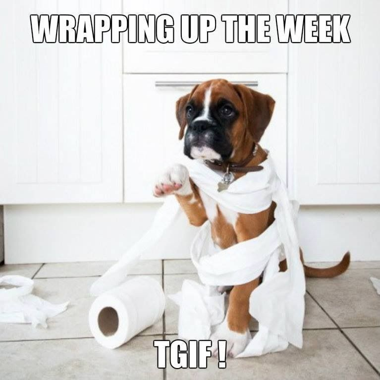Have a great weekend and have some fun!