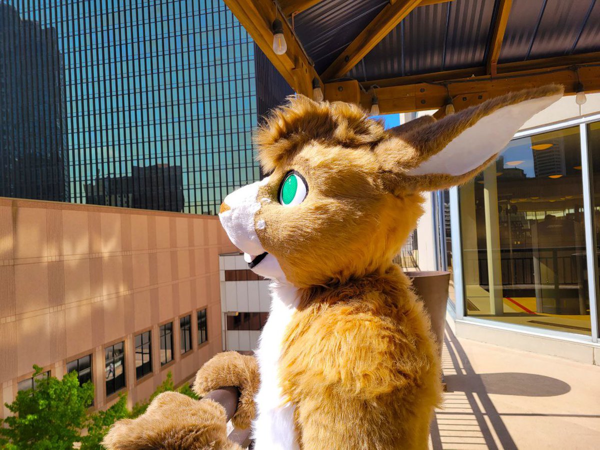 🎵 All we see is sky
For forever 
We let the world pass by
For forever 
Feels like we could go on
for forever this way 

Two friends on a perfect day 🎵 

📸 Voyen 🐯 
🪡 <a href="/thefuzzfactory/">The Fuzz Factory</a>