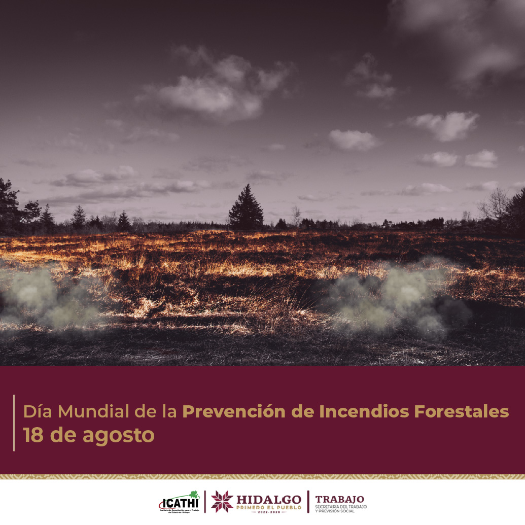 La #prevención es la mejor opción. Evitemos hacer fogatas, arrojar basura, objetos inflamables y encendidos, en terrenos, bosques, carreteras y caminos. Cuidemos nuestro entorno. #DíaMundialDeLaPrevenciónDeIncendiosForestales #18deAgosto #EfeméridesICATHI