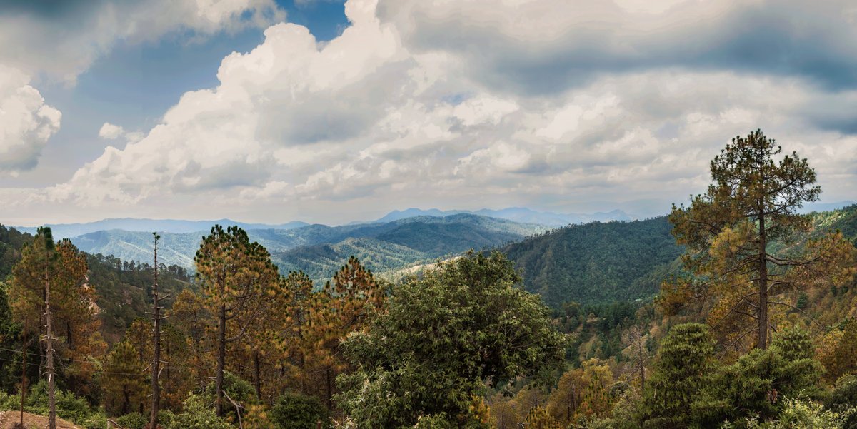 lyfeinframes's tweet photo. Pretty #Kumaon #Hills in June'23!
#travelphotography #Travel #NaturePhotography https://t.co/3of3DpVdgp