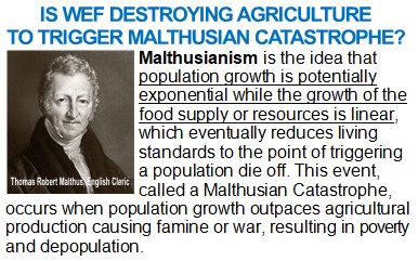 Dedicata's tweet image. When will the world population wake up to the fact that WEF is destroying the food supply? We need to attack and defund the WEF in order to survive.
#DefundWEF
#ArrestSchwab
#ReparationsToWEFvictims