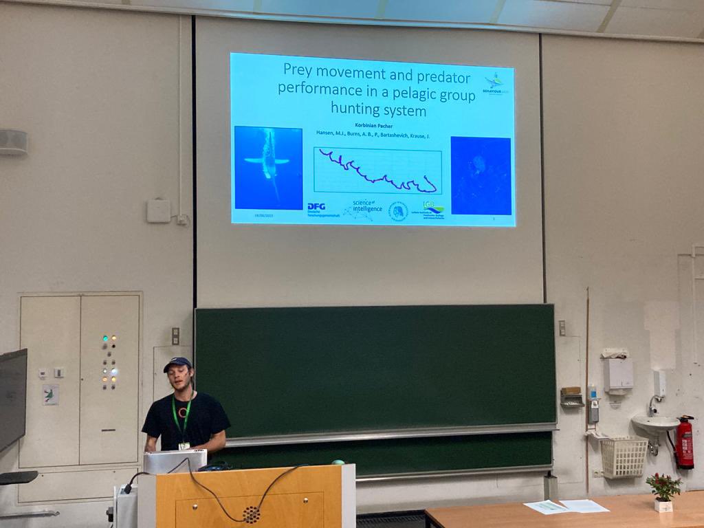First ever conference talk check! Thanks @2023Behaviour for giving me the oportunity to present my work on this fascinating system. And thanks to everyone from the @CollectiveBRL lab(s) for making this possible! #behaviour2023