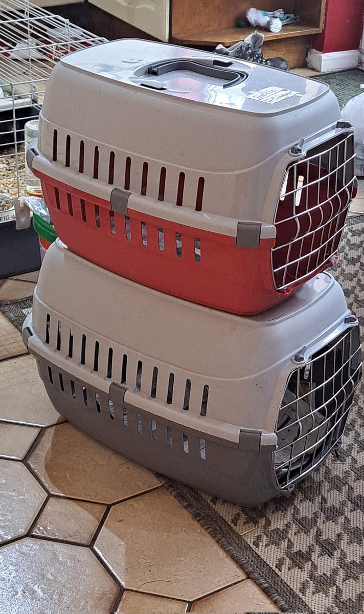 DotAndBella's tweet photo. Furiends, do you think we should be worried?Dottie and Bella ๐๐๐ #vetcheckup #CatsofTwittter #Hedgewatch https://t.co/fPy4x9I6jE