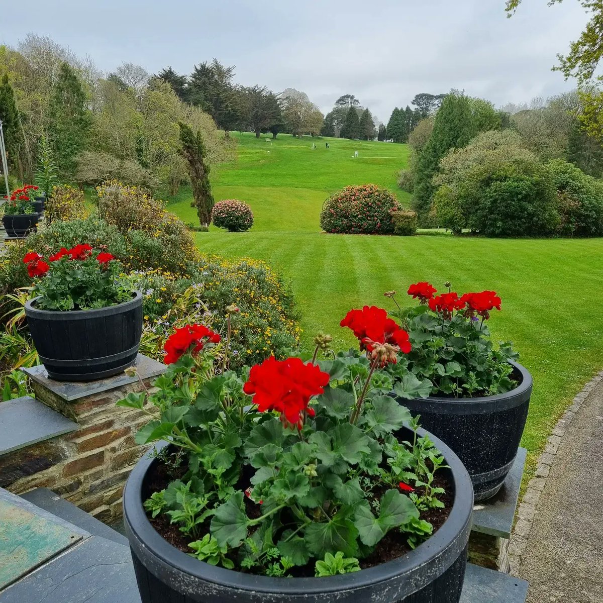 DannyKonik's tweet photo. Before and after! 
#gardening #gardens #budockveanhotel #helfordriver #headgardener https://t.co/EPurph3U3b