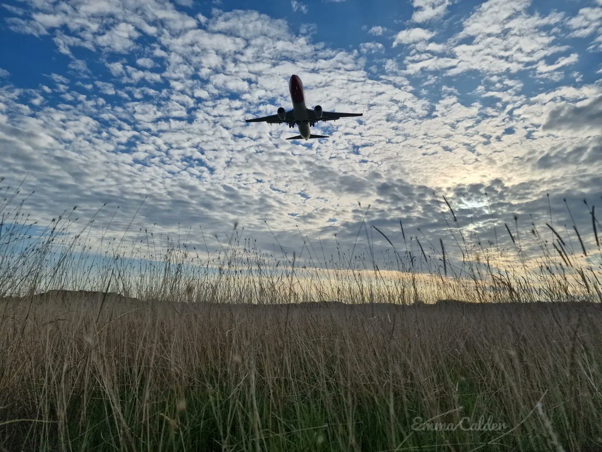 EmmaCalder11's tweet photo. Had the best evening yesterday when we found the public footpath right underneath Gatwick's 08R arrivals, I've found my favourite place right here! 😍
@Gatwick_Airport https://t.co/ZAZb9TPrMy