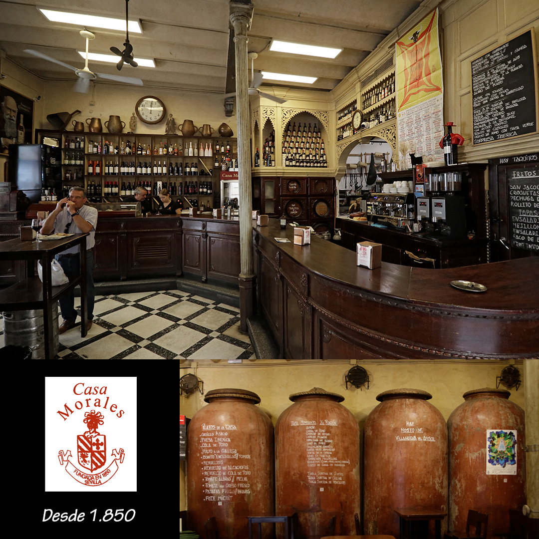 @casamoralessevilla tweet media