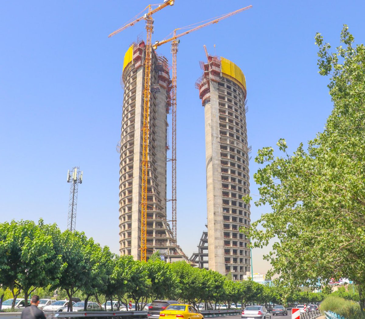 🐾Masoumeh Farahmand🪄 tweet media