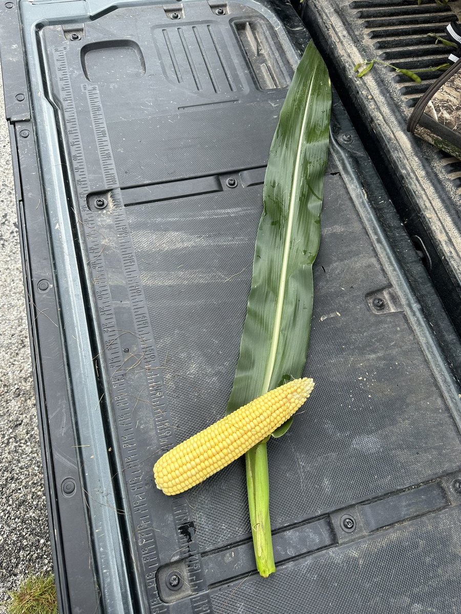 Bodie Kitchel tweet media