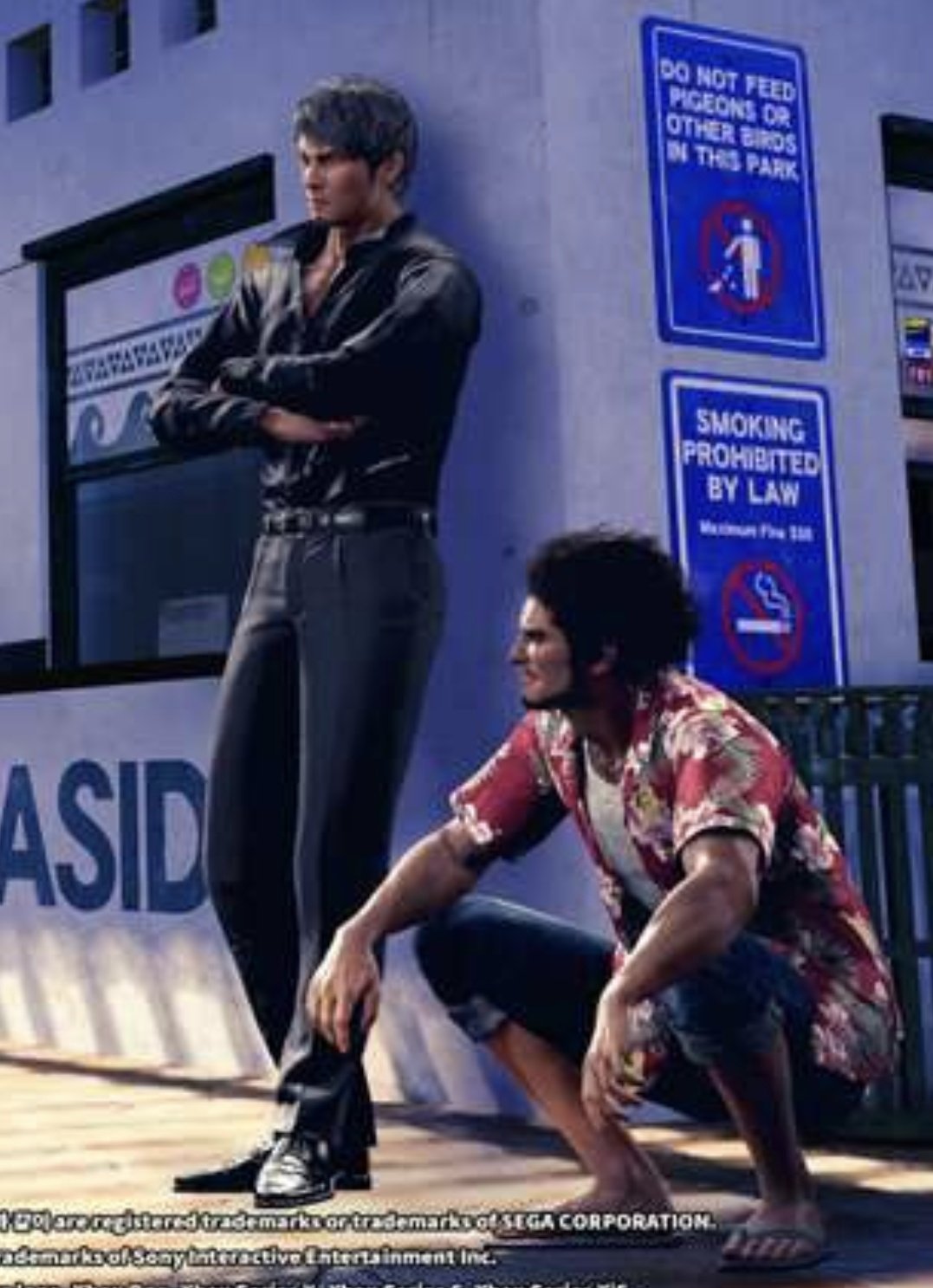 Sega shop alive shoes