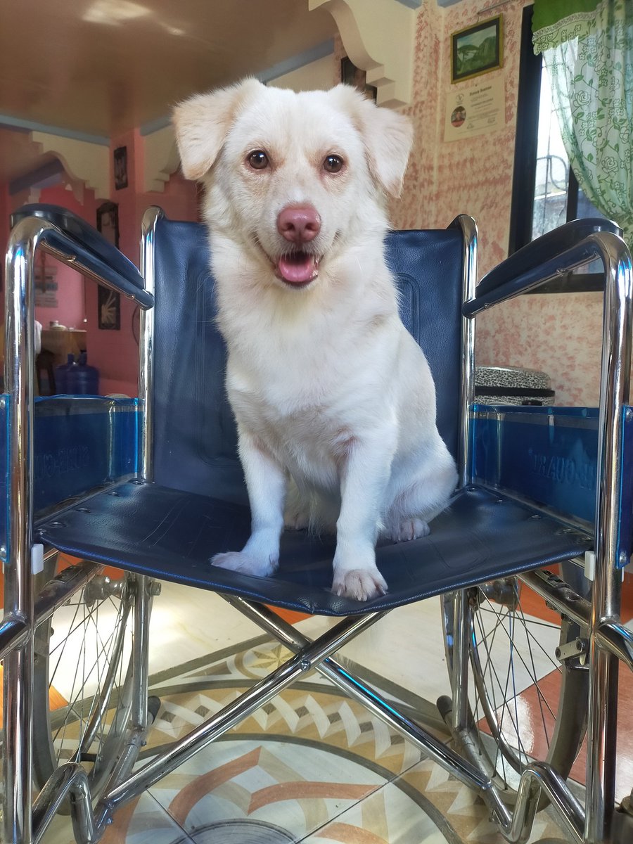 kyjac19's tweet photo. Feeling disabled...
#loyalty #trust #faith https://t.co/fESkD5LKzV