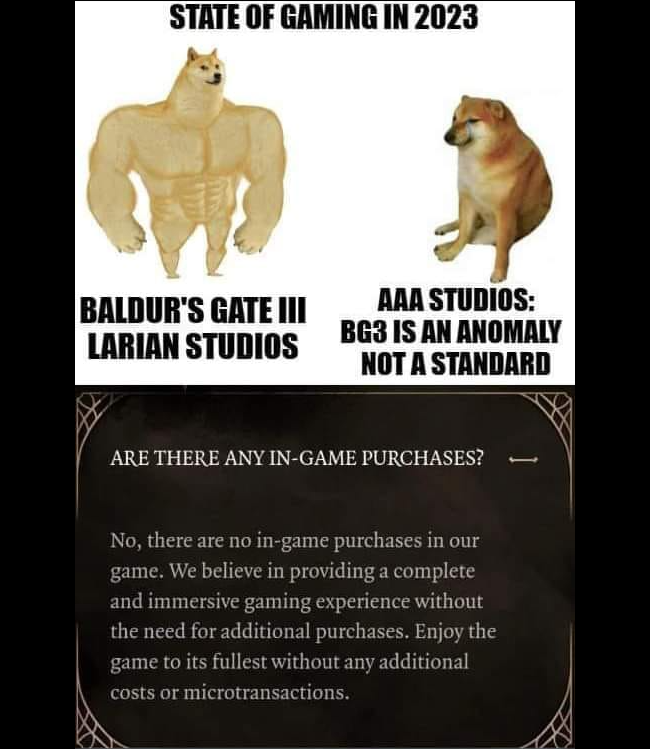 RWSstudios's tweet photo. Hats off to Larian, those guys fuck!

#BaldursGate3 https://t.co/dZf2ma4gVW