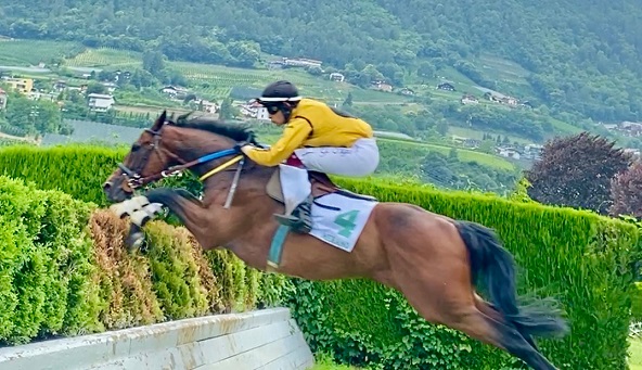 ITALIA. Mix meeting a #Merano #pferderennen con quattro prove riservate ai saltatori. Sabato due periziate con Sky Constellation atteso protagonista nel premio Aichner, domenica il tradizionale #BiElle di #LucaBruschi per i quattro anni
hurdleandchase.it/italia-mix-mee…