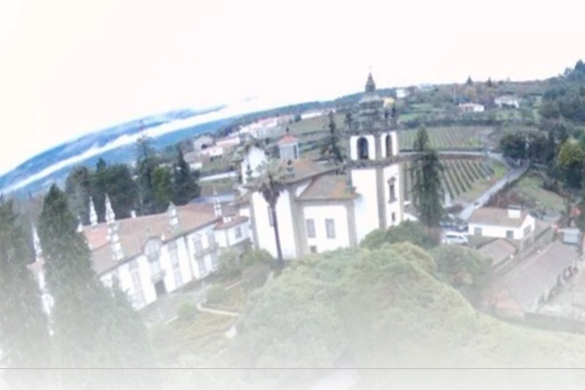 Ecological Interaction tweet media