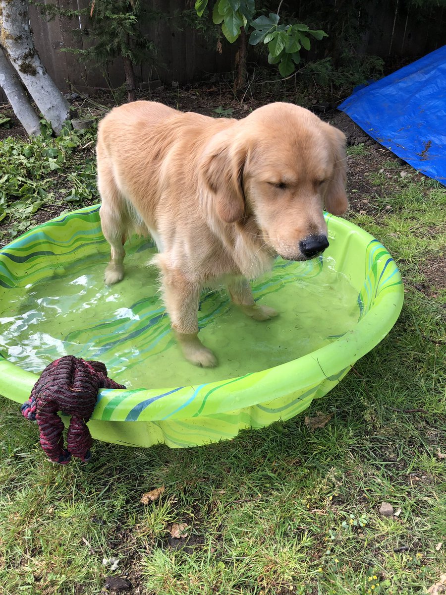 thisisloryn's tweet photo. my pool my rules https://t.co/frSW5XsNQt