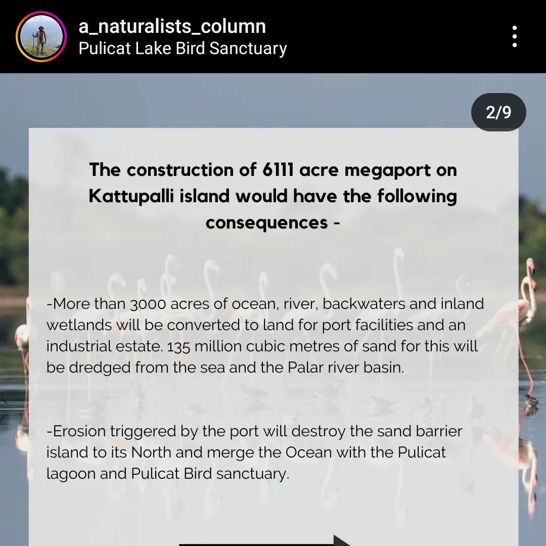 sleepy cat || @iamdatemike.bsky.social tweet media