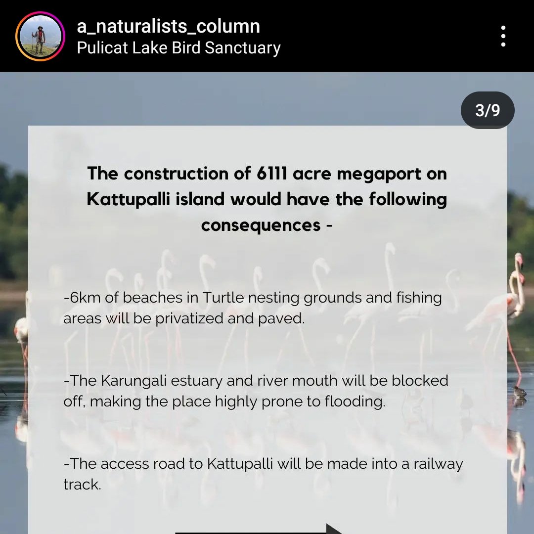 sleepy cat || @iamdatemike.bsky.social tweet media