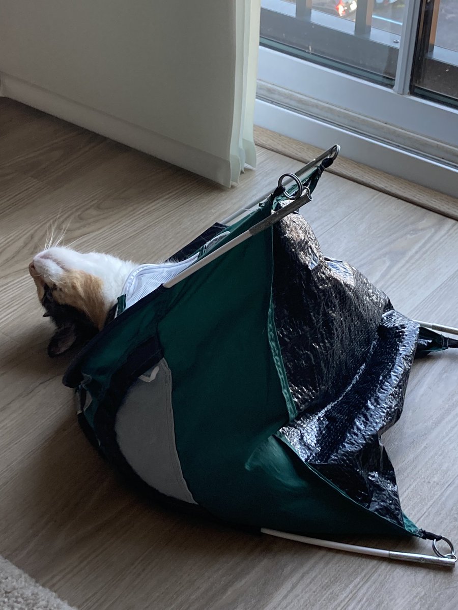 “You’re probably wondering how I got here”