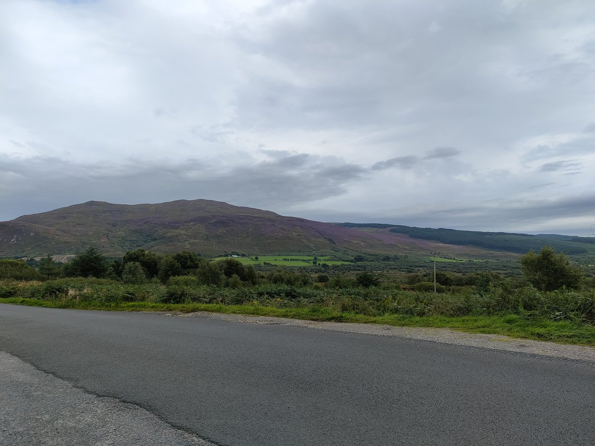 Prof Nicki Whitehouse #madeinsheffield (@fossilbeetle) on Twitter photo Goodbye to Arran. It's been a great field season <a href="/E_L_Jenkins/">Emma Jenkins</a> <a href="/urbanprehisto/">Kenny Brophy</a> <a href="/gmacg_1/">Gavin MacGregor</a> <a href="/DrM_Farrell/">Michelle Farrell</a> <a href="/MissBarclay87/">Rebecca Barclay</a> <a href="/henrychapman1/">Henry Chapman</a> <a href="/McfadyenLesley/">xXx pron hUb</a> and lots of others!! #Drumadoon2023 @UogArch Goodbye to Arran. It's been a great field season <a href="/E_L_Jenkins/">Emma Jenkins</a> <a href="/urbanprehisto/">Kenny Brophy</a> <a href="/gmacg_1/">Gavin MacGregor</a> <a href="/DrM_Farrell/">Michelle Farrell</a> <a href="/MissBarclay87/">Rebecca Barclay</a> <a href="/henrychapman1/">Henry Chapman</a> <a href="/McfadyenLesley/">xXx pron hUb</a> and lots of others!! #Drumadoon2023 @UogArch