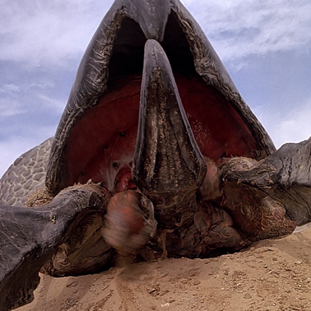 blackfawndistro's tweet photo. What do Kevin Bacon & Reba McEntyre have in common? Beautiful singing voices obviously! Well, probably?
Our 90s Night Tremors episode is now live on YouTube!
https://t.co/o5ANE8YeTX
.
.
.
#90snight #tremors #scarymovies #kevinbacon #rebamcentyre #michaelgross #whynottonight https://t.co/iTyASLsoij