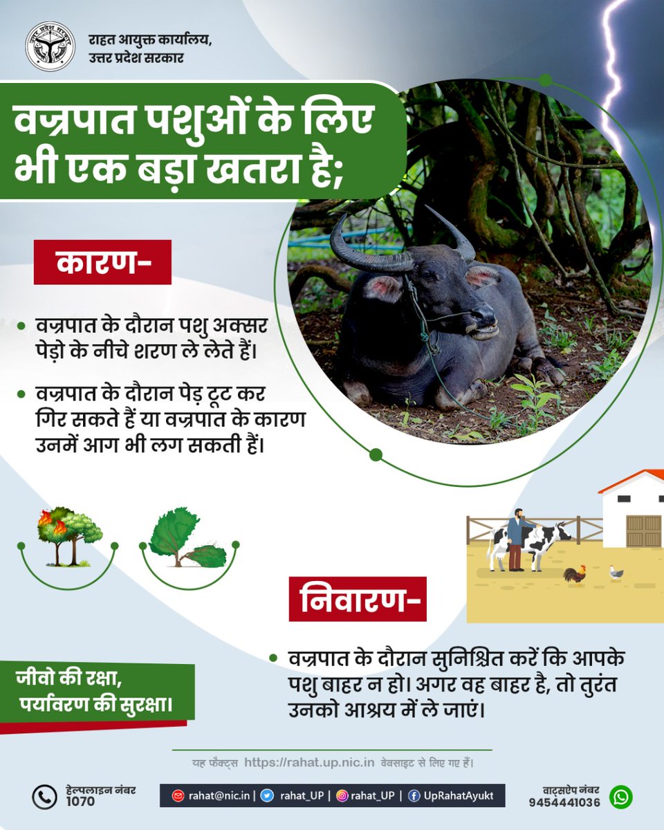 वज्रपात मे पशुओं का ध्यान किस प्रकार रखें । 
#DisasterPreparedness #EmergencyPlanning #AnimalCare  #EmergencyResponse  #AnimalHealth #DisasterAwareness #AnimalRescue  #DisasterRelief #AnimalWelfare #DisasterRecovery #PetRescue #CommunitySupport #DisasterResponse #AnimalAdvocacy