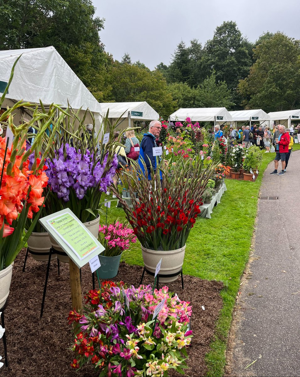 Step into a planting paradise during the Rosemoor Flower Show 😍

Browse and buy from more than 20 specialist nurseries offering a variety of flowers, grasses, houseplants, alpines and much more!

Discover everything you can see here: rhs.org.uk/gardens/rosemo…