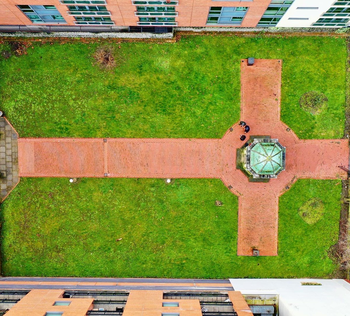 B4Biodiversity's tweet image. Open Day at Roscoe Gardens tomorrow, Sat 19th showing bees, litterpicking &amp;amp; shadow puppetry for @friendsofroscoe 🐝🖤

Come &amp;amp; learn about William Roscoe &amp;amp; why he is voted 1 of the best Scousers of all time🌷

Meet at Roscoe Gardens, Mount Pleasant (opp the 051) 11am-2pm