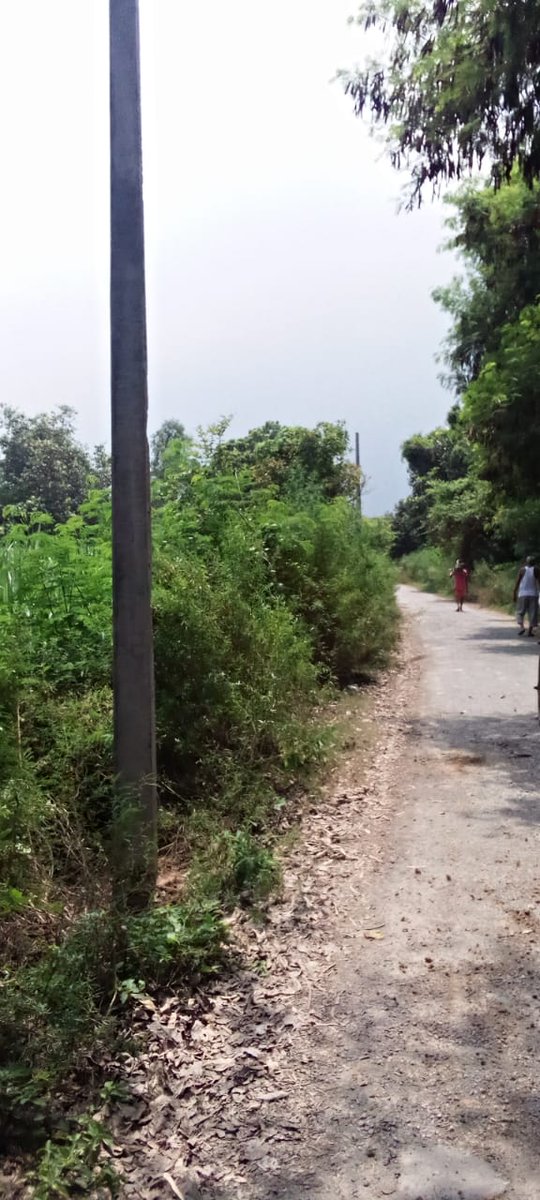 RamitKumar8379's tweet photo. दबंगों के हौसले हुए बुलंद जेई के रोकने के बाद भी निकाली जा रही स्कूल के ऊपर से 11000 लाइन विरोध करने पर धमकाया जा रहा है, संबंधित अधिकारी कृपया ध्यान दें। @Uppolice @UPPCLLKO @MVVNLHQ @mvvnlsitapur @dm_sitapur @112UttarPradesh @AjayKum18259706 @PRESIDENTIHRPO  @sitapurpolice https://t.co/0xtnsUU3jm