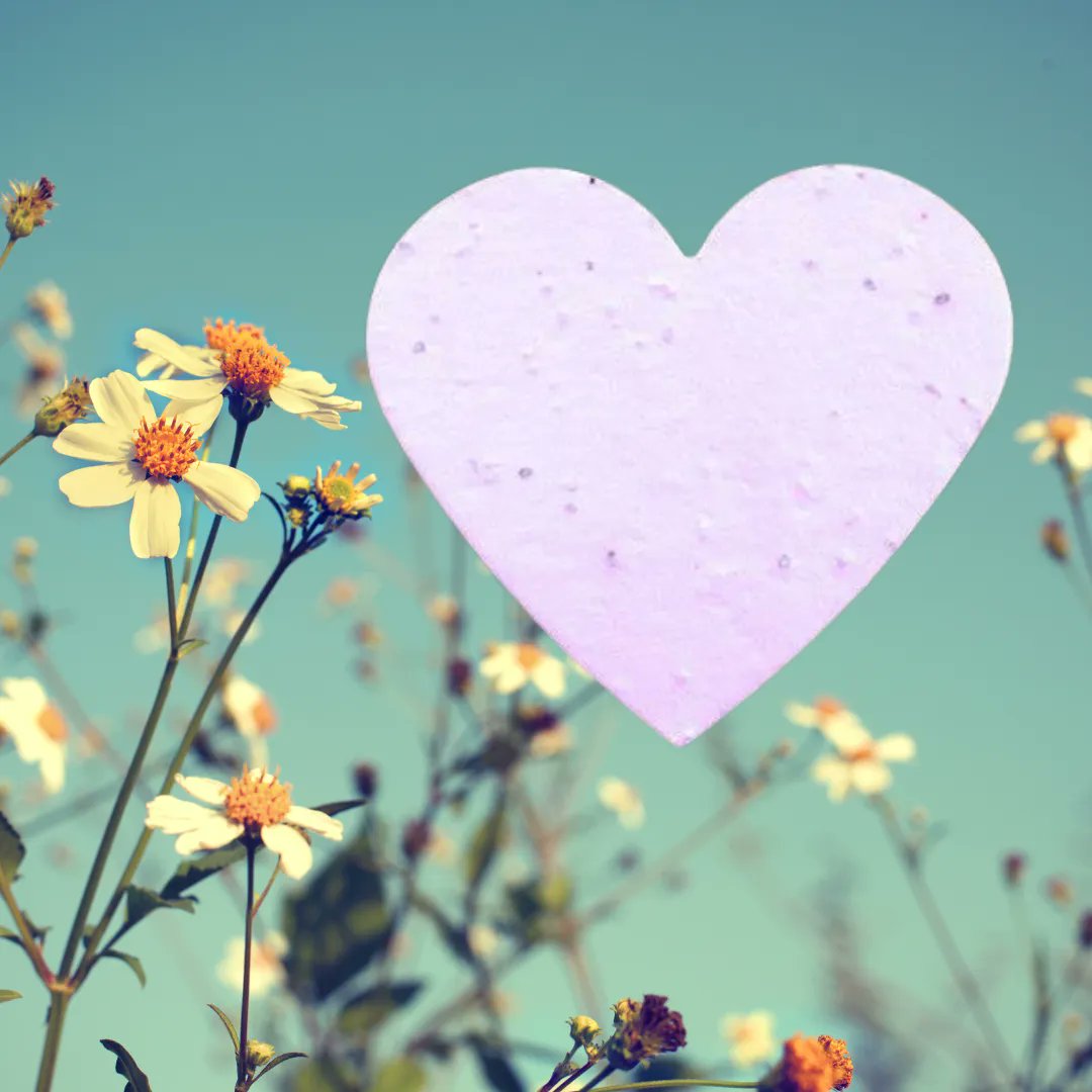 Thepaperconcept's tweet photo. 🌼 The Paper Concept's Seed Paper Creations! 🌿

Add a touch of eco-elegance to your life with our range of seed paper items. From stationery to special occasions, make your moments memorable and planet-friendly.  https://t.co/4bad9WsLC7 🌱✉️ #GreenLiving #SeedPaperMagic https://t.co/B4Zc1Nx0s6