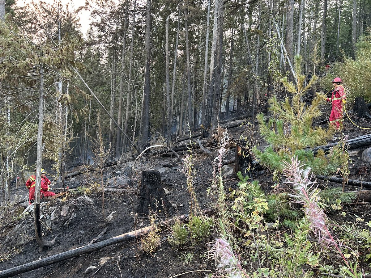 Fire Chief Dan Derby tweet media