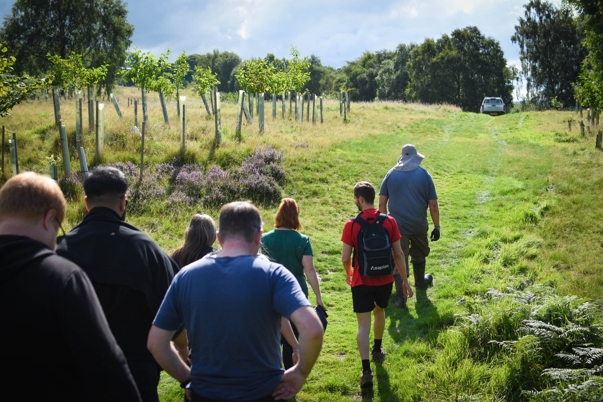 FOD_Group's tweet photo. We teamed up with @YORgreencic at Scouts Low Wood to maintain the regeneration of the old Riddlesden golf site into beautiful community woodland. 🌳
Check out our photos from the day! 📸
#lifeatFOD #YORgreenic #volunteering #regeneration https://t.co/jpKr3Dc6r7