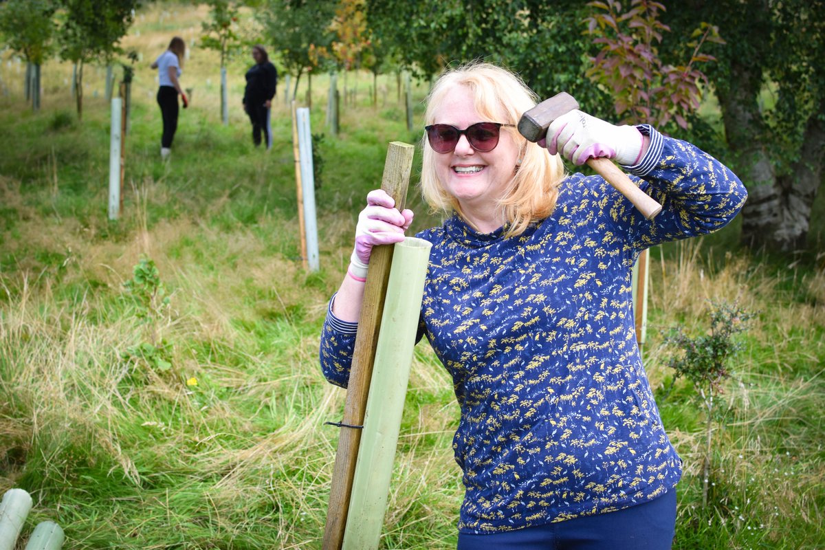 FOD_Group's tweet photo. We teamed up with @YORgreencic at Scouts Low Wood to maintain the regeneration of the old Riddlesden golf site into beautiful community woodland. 🌳
Check out our photos from the day! 📸
#lifeatFOD #YORgreenic #volunteering #regeneration https://t.co/jpKr3Dc6r7