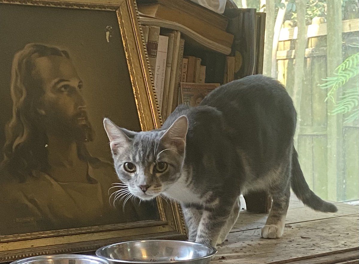 Shannon Minter tweet media