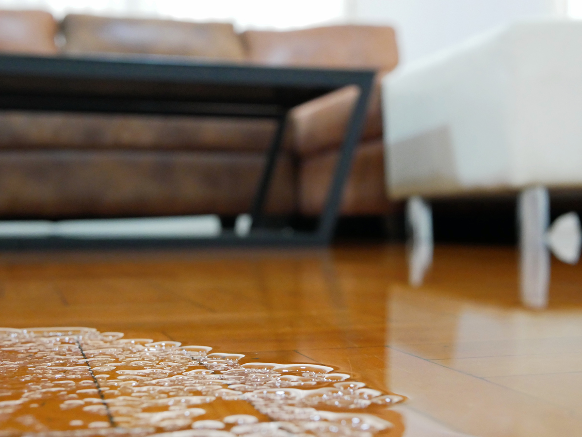 We are the water damage restoration company you can rely on to minimize the impact of flood damage.

Call for 24/7 service: 800-948-6101