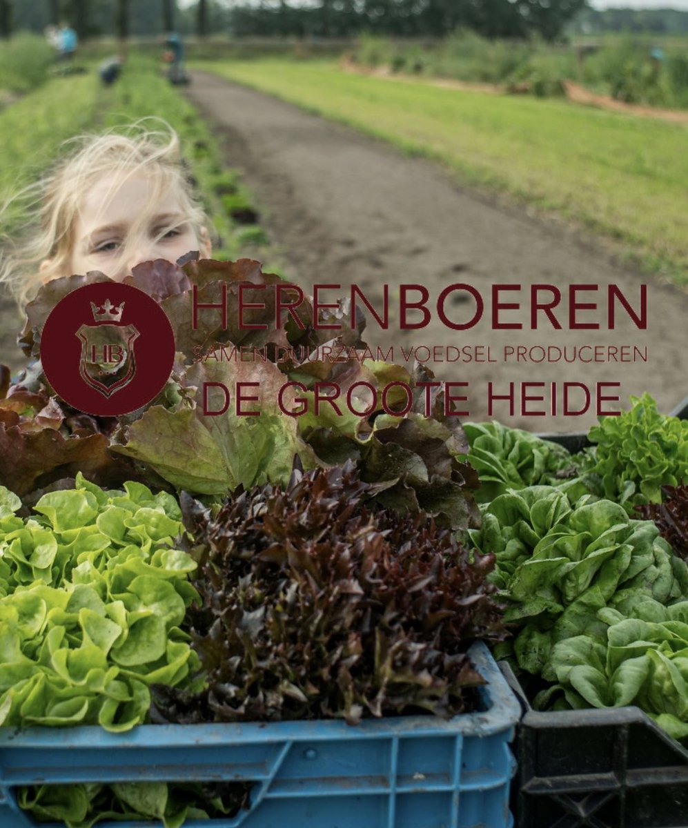 Hoe leer je kinderen dat écht gezonde groenten onbespoten is, dat die heerlijk smaken en dat daar beestjes in kunnen zitten. Herenboerderij De Groote Heide start met ‘kinderboeren’ en laat ze dat leren in de praktijk. Wordt lid van Herenboeren en geef dat aan je kinderen mee.