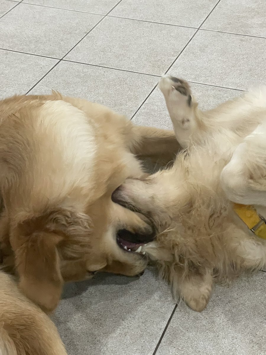 butterchive's tweet photo. 오늘 많은 일이 있었는데 사진이 이뿐이라니.. https://t.co/4eUb4uEK6Q
