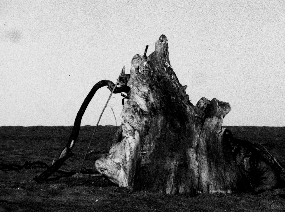 CPC London | Film Lab tweet media