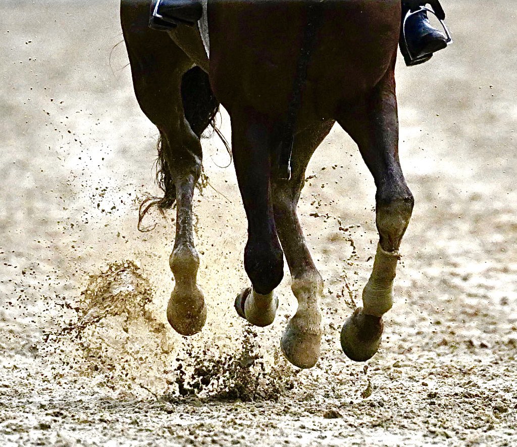 No turf racing today @TheNYRA #SaratogaRaceCourse after another round of rain. With the fine work of #GlenKozak and his team this mud will be a memory by race time if the #rain quits. @timesunion @BloodHorse @NikonUSA image copyright Skip Dickstein 2023