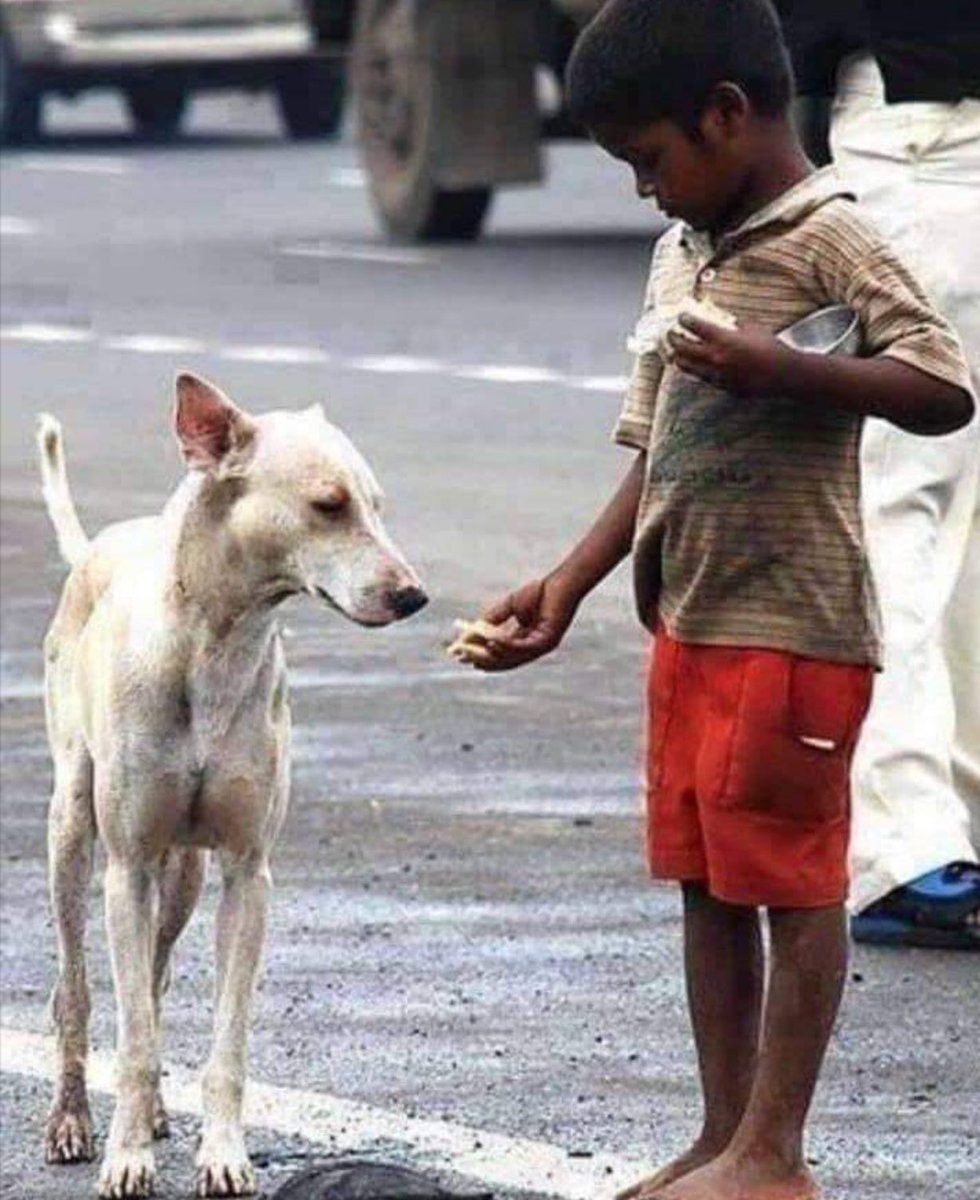 કરોડો હોય ને લાખ આપ્યા એમાં શી ધાડ મારી.?
ખાલી દસ હોય ને એમાંથી આઠ આપી દીધા એ મોટી વાત છે.

બીજાના દુખે દુઃખી થયા એમાં શી ધાડ મારી.?
બીજા કોઈનું સુખ જોઈને ખરેખર સુખી થયા એ મોટી વાત છે...