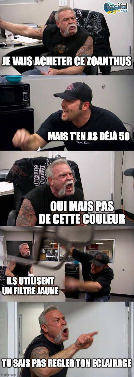 recifalnews's tweet image. Ça n'arrive jamais 🤣😇?
#REEF #reefkeeping #corals