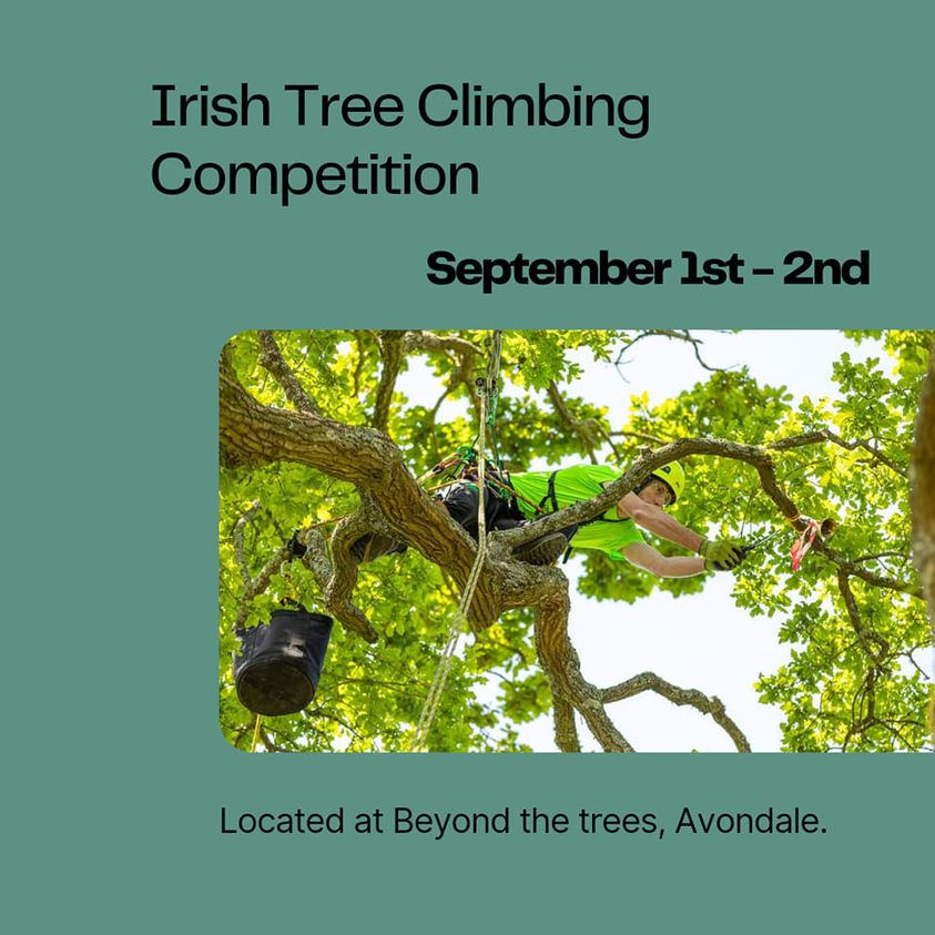 ArbApprentice's tweet photo. We will be attending the Irish Tree Climbing Competition at Avondale, County Wicklow on the 1st and 2nd of September.  Drop by to find out more about the #GRETBOfficial National Apprenticeship in Arboriculture. #GenerationApprentice #GenerationApprentice #SOLAS #Arboriculture https://t.co/qHVqDZ36Ba